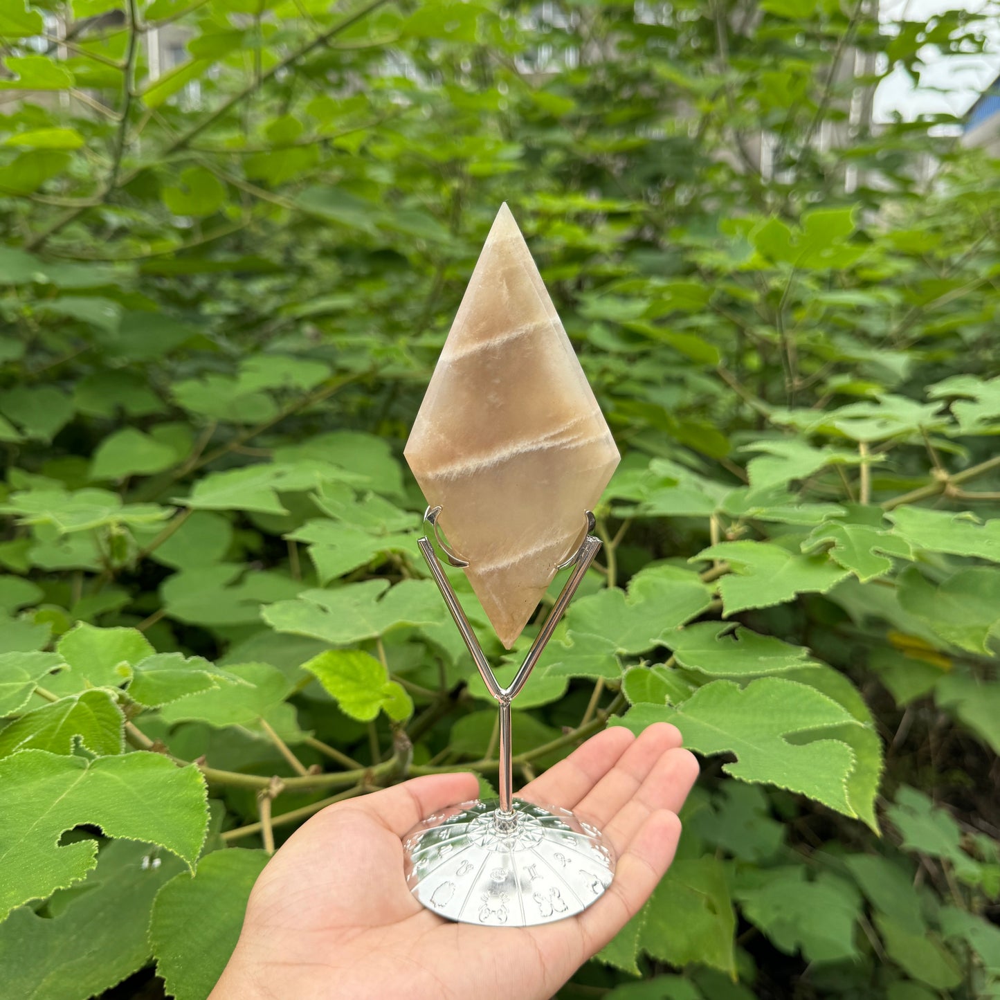 Metal Holder - Shop