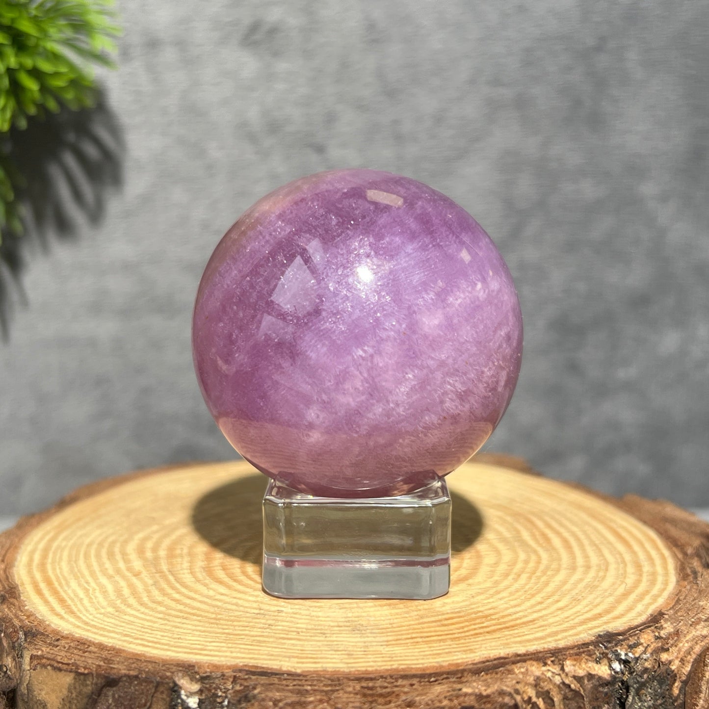 Transparent Glass Sphere Holder - Shop