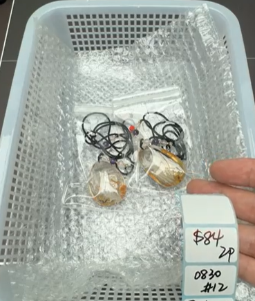 KIKICRYSTAL Shop Claim Sale For 0830