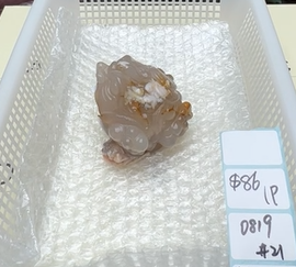 KIKICRYSTAL Shop Claim Sale For 0819