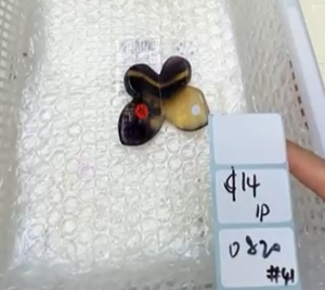 KIKICRYSTAL Shop Claim Sale For 0820