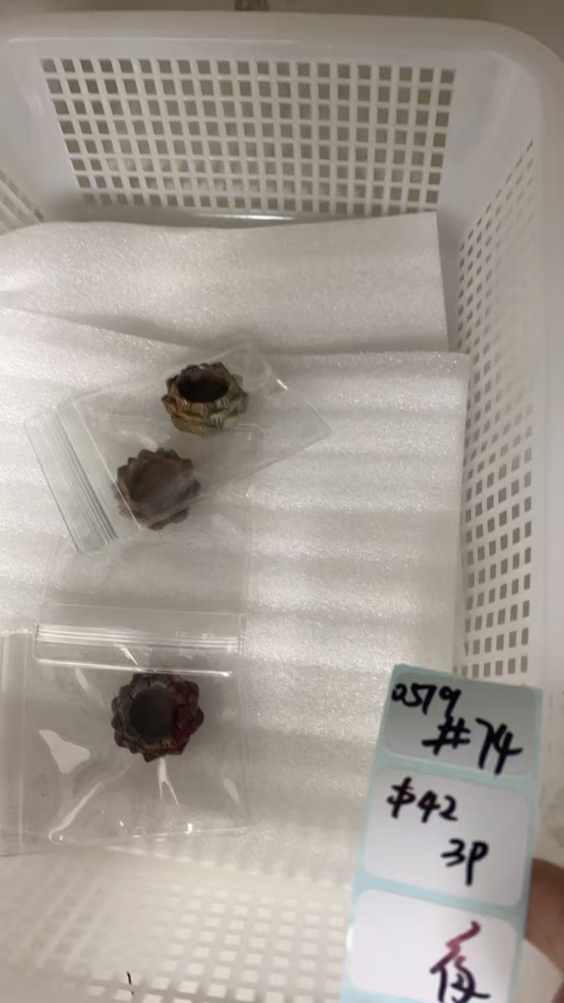 KIKICRYSTAL Shop Claim Sale For 0519