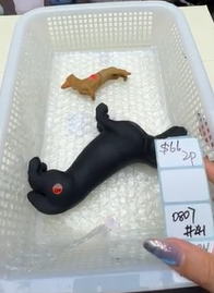 KIKICRYSTAL Shop Claim Sale For 0807