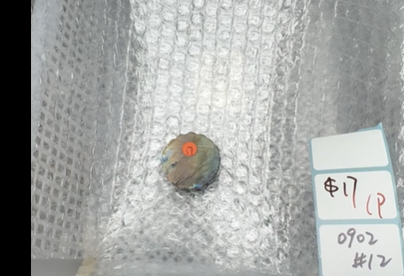KIKICRYSTAL Shop Claim Sale For 0902