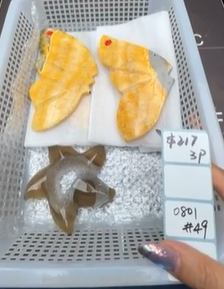 KIKICRYSTAL Shop Claim Sale For 0801