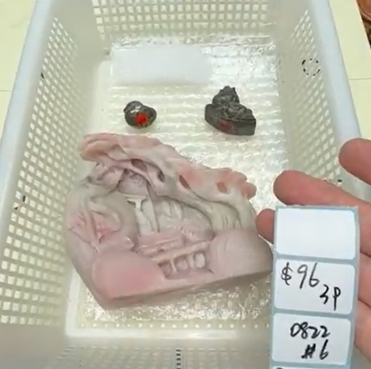 KIKICRYSTAL Shop Claim Sale For 0822