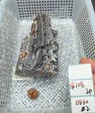 KIKICRYSTAL Shop Claim Sale For 0830