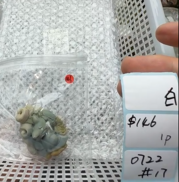 KIKICRYSTAL Shop Claim Sale For 0722