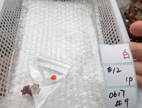 KIKICRYSTAL Shop Claim Sale For 0617