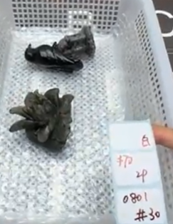 KIKICRYSTAL Shop Claim Sale For 0801
