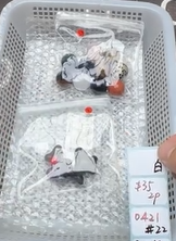 KIKICRYSTAL Shop Claim Sale For 0421
