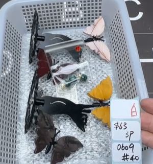 KIKICRYSTAL Shop Claim Sale For 0609