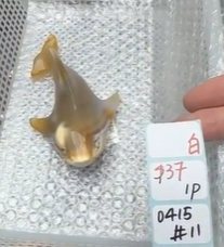 KIKICRYSTAL Shop Claim Sale For 0415