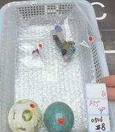 KIKICRYSTAL Shop Claim Sale For 0506