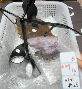 KIKICRYSTAL Shop Claim Sale For 0731