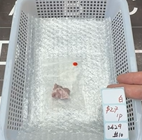 KIKICRYSTAL Shop Claim Sale For 0429