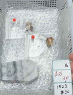 KIKICRYSTAL Shop Claim Sale For 0523