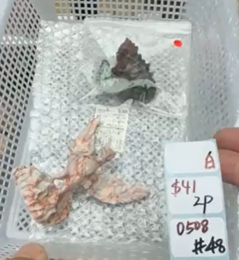 KIKICRYSTAL Shop Claim Sale For 0508