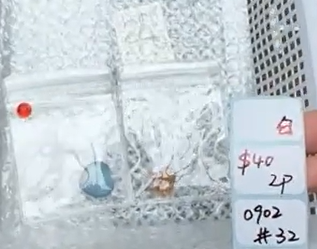 KIKICRYSTAL Shop Claim Sale For 0902