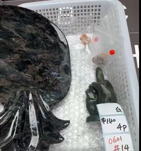 KIKICRYSTAL Shop Claim Sale For 0601