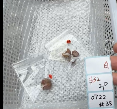 KIKICRYSTAL Shop Claim Sale For 0722