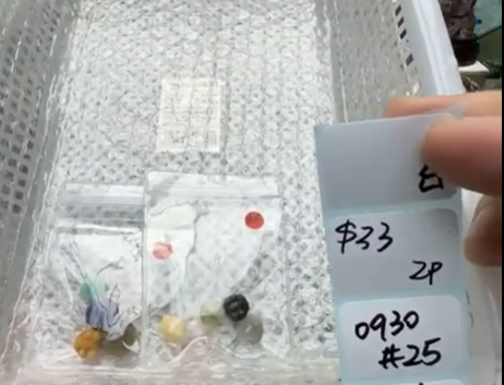 KIKICRYSTAL Shop Claim Sale For 0930