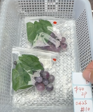 KIKICRYSTAL Shop Claim Sale For 0425