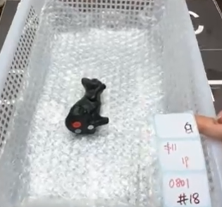 KIKICRYSTAL Shop Claim Sale For 0801