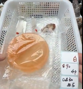 KIKICRYSTAL Shop Claim Sale For 0430