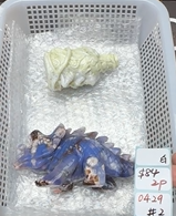 KIKICRYSTAL Shop Claim Sale For 0429