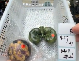 KIKICRYSTAL Shop Claim Sale For 0417