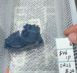 KIKICRYSTAL Shop Claim Sale For 0423