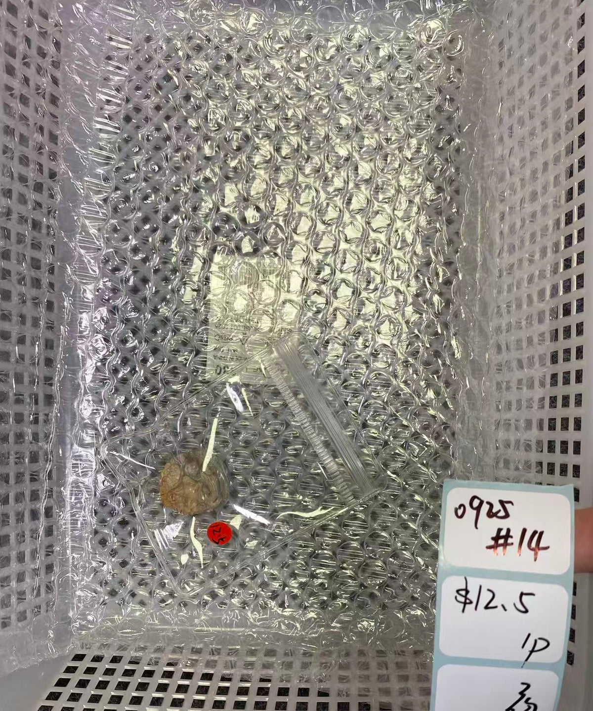 KIKICRYSTAL Shop Claim Sale For 0925