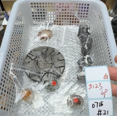 KIKICRYSTAL Shop Claim Sale For 0715