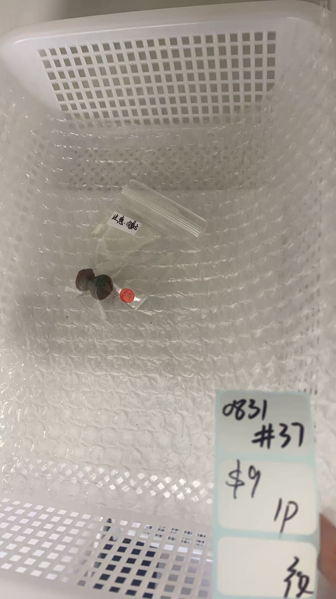 KIKICRYSTAL Shop Claim Sale For 0831