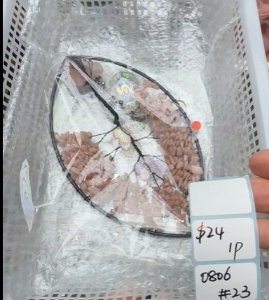 KIKICRYSTAL Shop Claim Sale For 0806