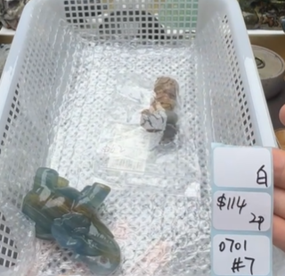 KIKICRYSTAL Shop Claim Sale For 0701