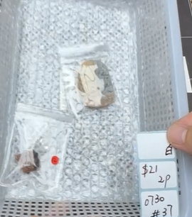 KIKICRYSTAL Shop Claim Sale For 0730