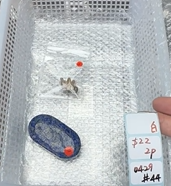 KIKICRYSTAL Shop Claim Sale For 0429