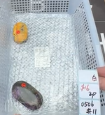 KIKICRYSTAL Shop Claim Sale For 0506