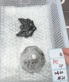 KIKICRYSTAL Shop Claim Sale For 0430