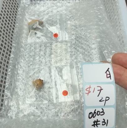 KIKICRYSTAL Shop Claim Sale For 0603