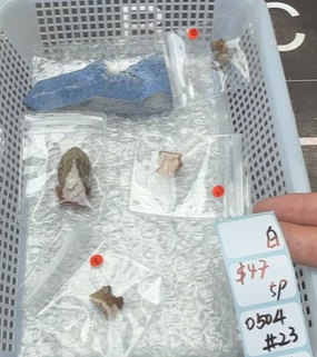 KIKICRYSTAL Shop Claim Sale For 0504
