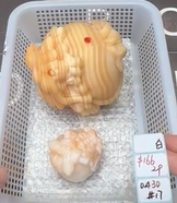 KIKICRYSTAL Shop Claim Sale For 0430