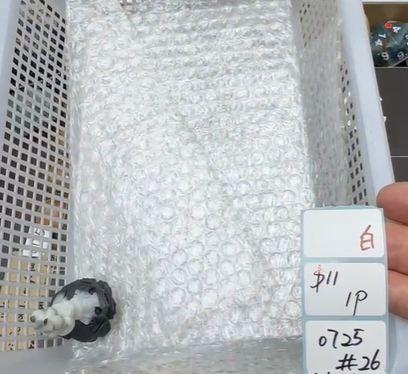 KIKICRYSTAL Shop Claim Sale For 0725