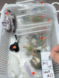 KIKICRYSTAL Shop Claim Sale For 0409