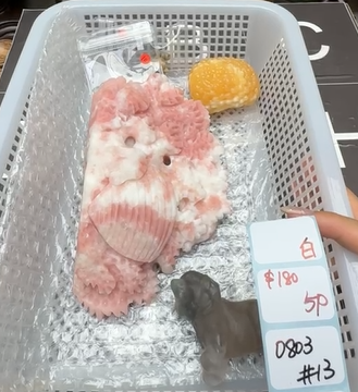 KIKICRYSTAL Shop Claim Sale For 0803