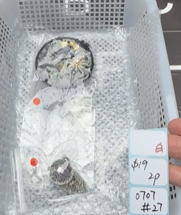 KIKICRYSTAL Shop Claim Sale For 0707