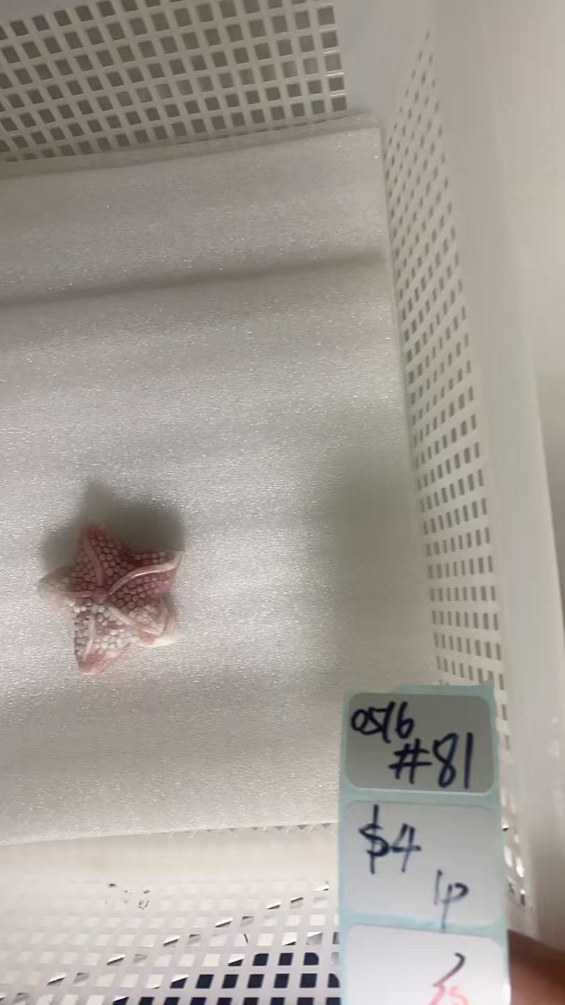 KIKICRYSTAL Shop Claim Sale For 0516