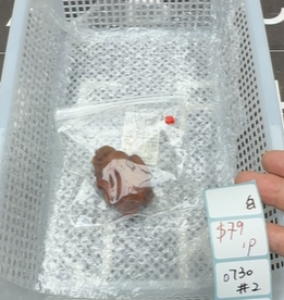 KIKICRYSTAL Shop Claim Sale For 0730